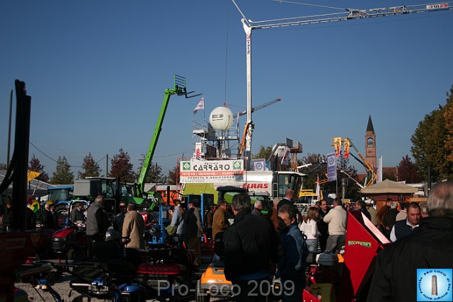In prà della Antica Fiera di Arsego (66).JPG